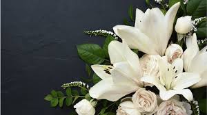Justin Samuel Teff Obituary, Albany, NY Death - Has Sadly Died